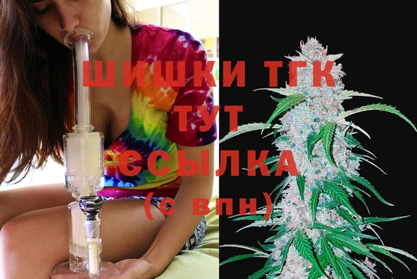СК Великий Новгород