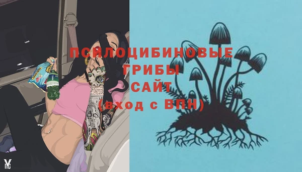 соль курить ск Корсаков