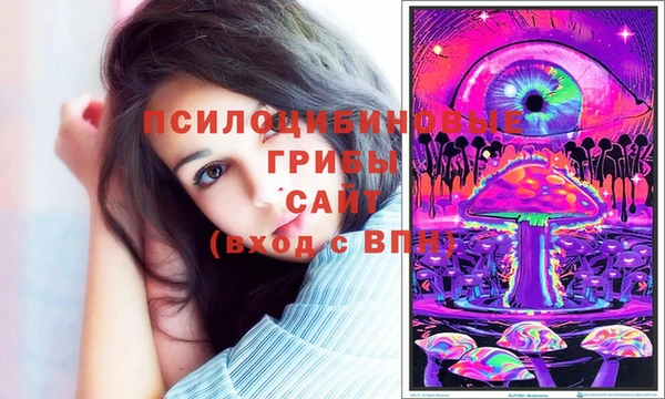 соль курить ск Корсаков